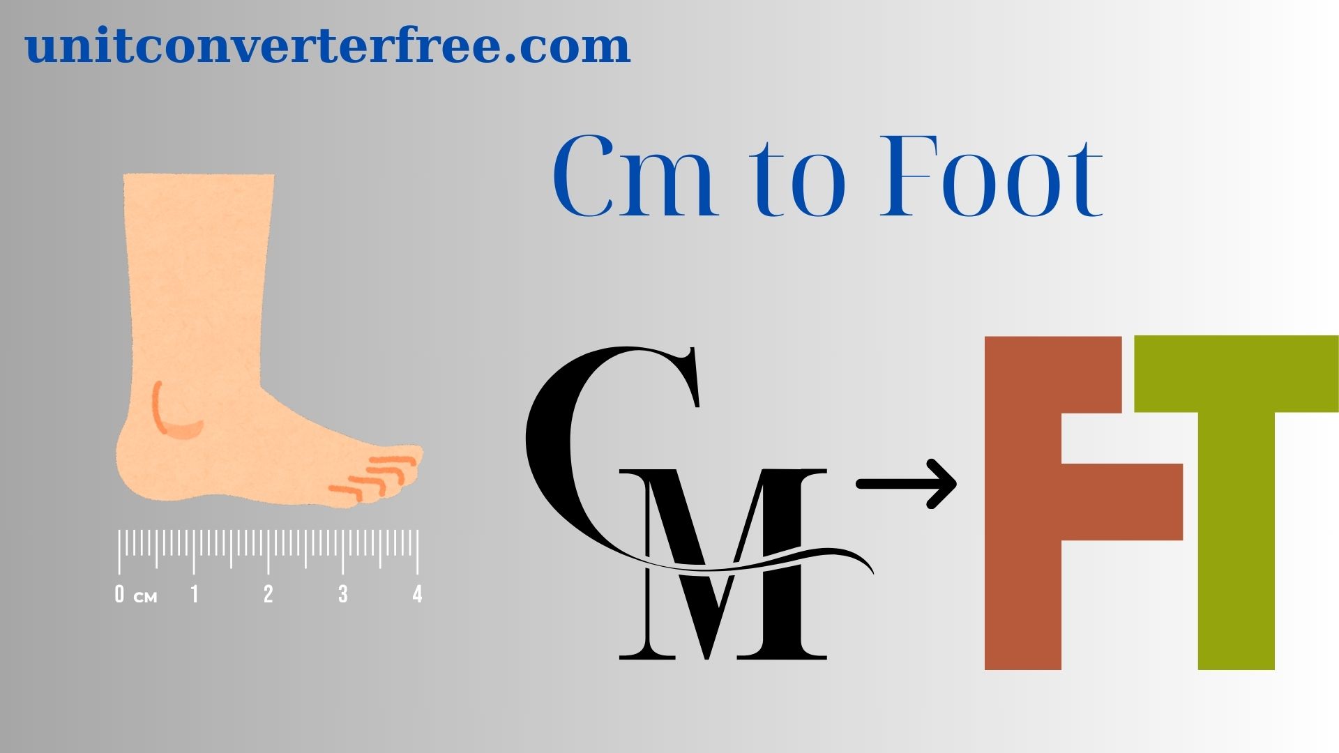 Convert Cm to Feet
